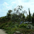 Jardin exotique Roscoff2