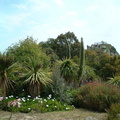 Jardin exotique Roscoff4