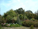 Jardin exotique Roscoff4
