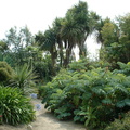 Jardin exotique Roscoff6