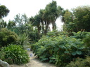 Jardin exotique Roscoff6