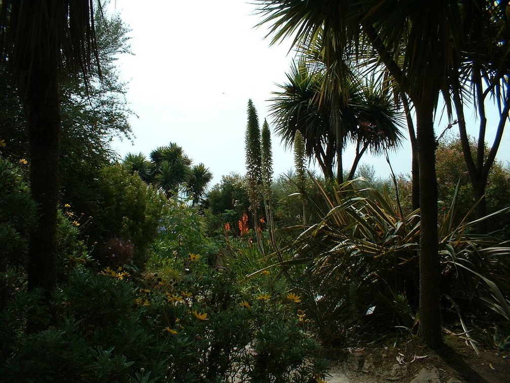 Jardin exotique Roscoff9