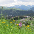 Haute-Savoie 06-2013 277