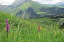 Haute-Savoie 06-2013 278
